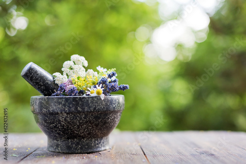 Homeopathy and herbal medicine concept outdoors