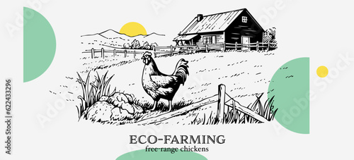 Chickens in farm  sketch. Rural landscape in vintage engraving style vector illustration