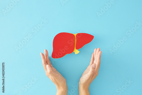Liver сare takes center stage on International Hepatitis Day. First person top view photo of healthy liver on pastel blue background