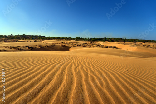 Beautiful Landscape Desert  Red Sand Dunes of Mui Ne  Vietnam