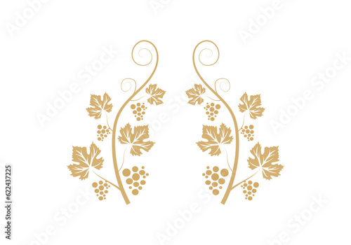 Decoration grapevine, vine canes and grapes. grape vine silhouette. vector illustration