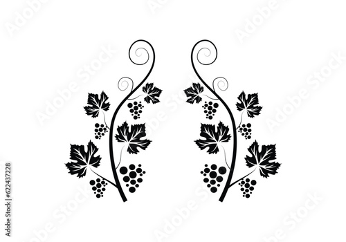 Decoration grapevine, vine canes and grapes. grape vine silhouette. vector illustration