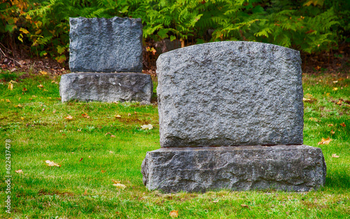 Weathered blank tombstones in an old cemetery.