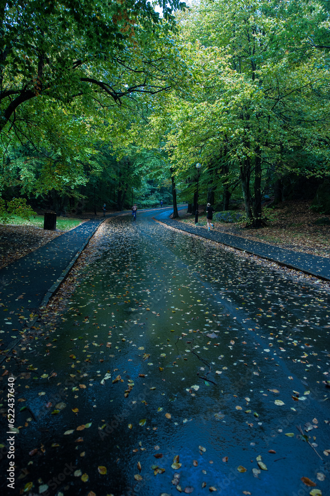 Naklejka premium People walking the roads of a damp park.