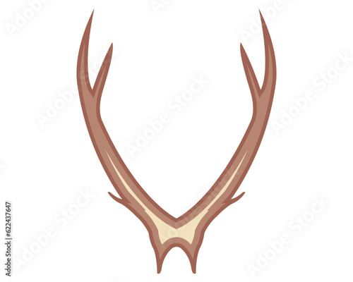 horn of deer
