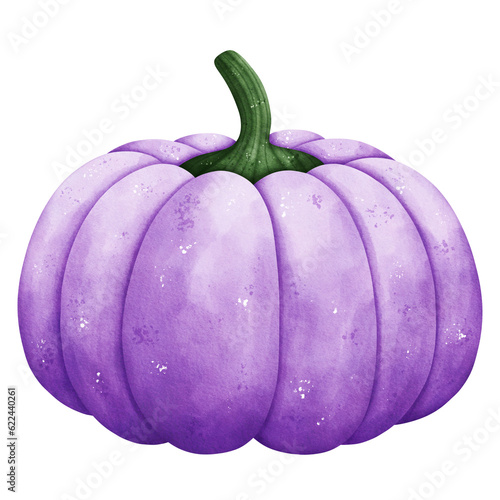 Watercolor Purple Pumpkin Illustration Isolated on Transparent Background