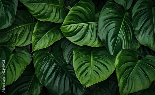 Green Leaves of Philodendron, abstract green texture, nature background, tropical leaf. Generative AI.