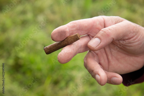 Cigarette in the man's hand.Close-up.Concept. Quit smoking. © Александр Поташев
