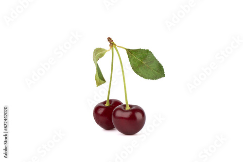 Two ripe cherries with leaves isolated on white background.