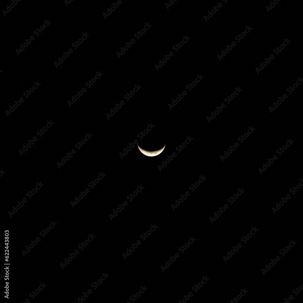 Luna Luna