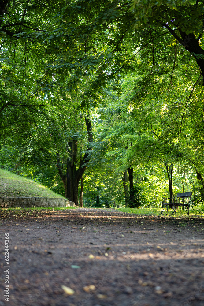 Ścieżka w parku ławki pośród drzew zielony klimat zachodnia polska - obrazy, fototapety, plakaty 