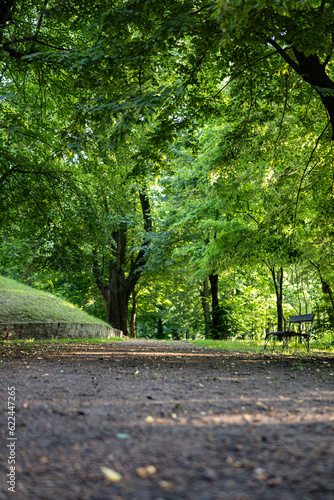 Ścieżka w parku ławki pośród drzew zielony klimat zachodnia polska