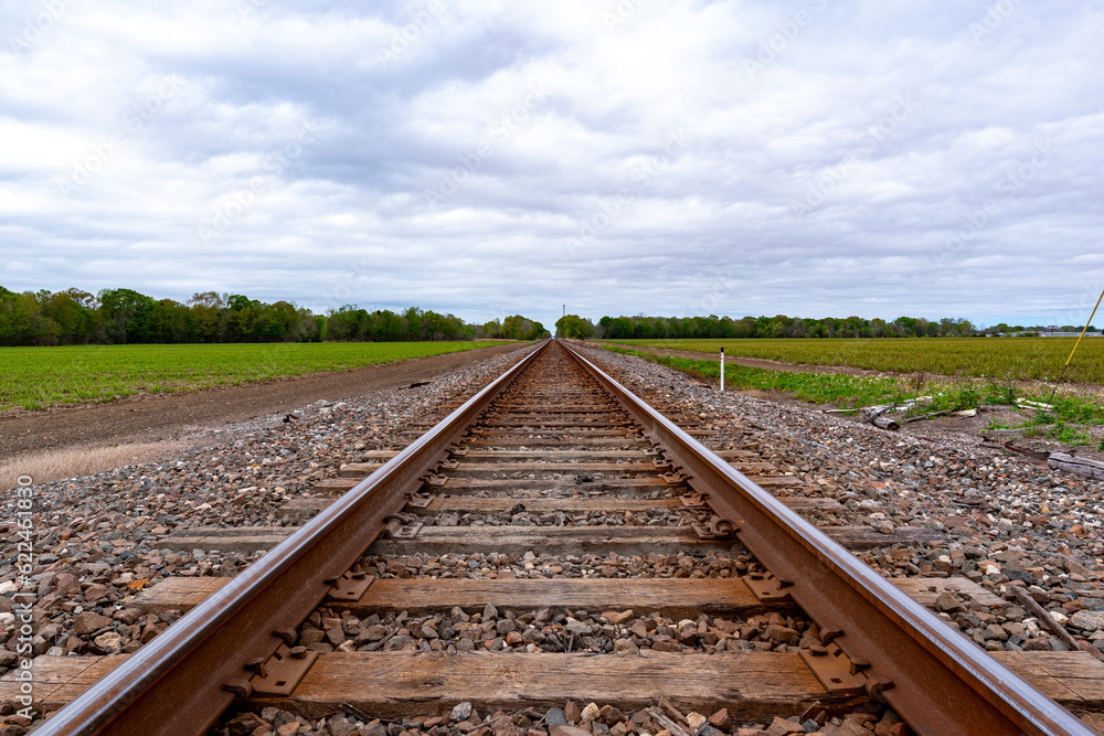 Railroad tracks with trees far into the horizon Railroad tracks with trees far into the horizon
