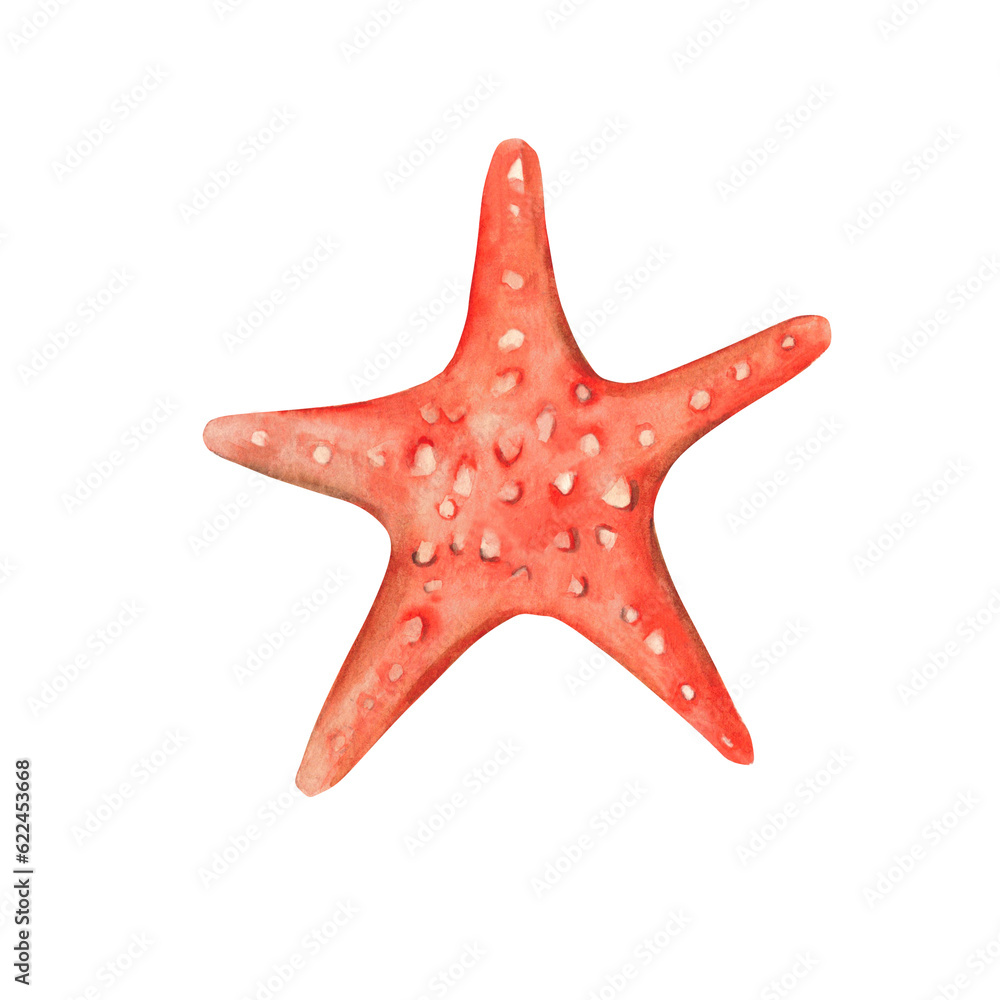 Watercolour hand drawn red starfish isolated on white background. Marine underwater design element. Summer sea clipart Watercolour hand drawn red starfish isolated on white background. Marine underwater design element. Summer sea clipart