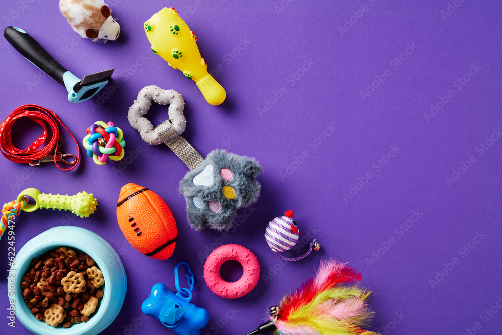 Pet accessories and toys on purple background. Pet shop banner design. Flat lay, top view.