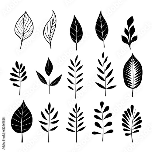 Vector compilation showcasing an array of intricately drawn leaves