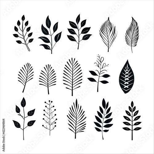 Hand drawn vector set of tropical leaves