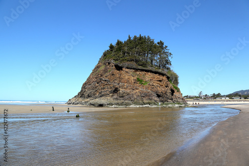Fotografia Along the Oregon Coast: Neskowin Ghost Forest on Neskowin Beach - remains of ancient sitka spruce trees sunk under the water after an earthquake 2000 years ago