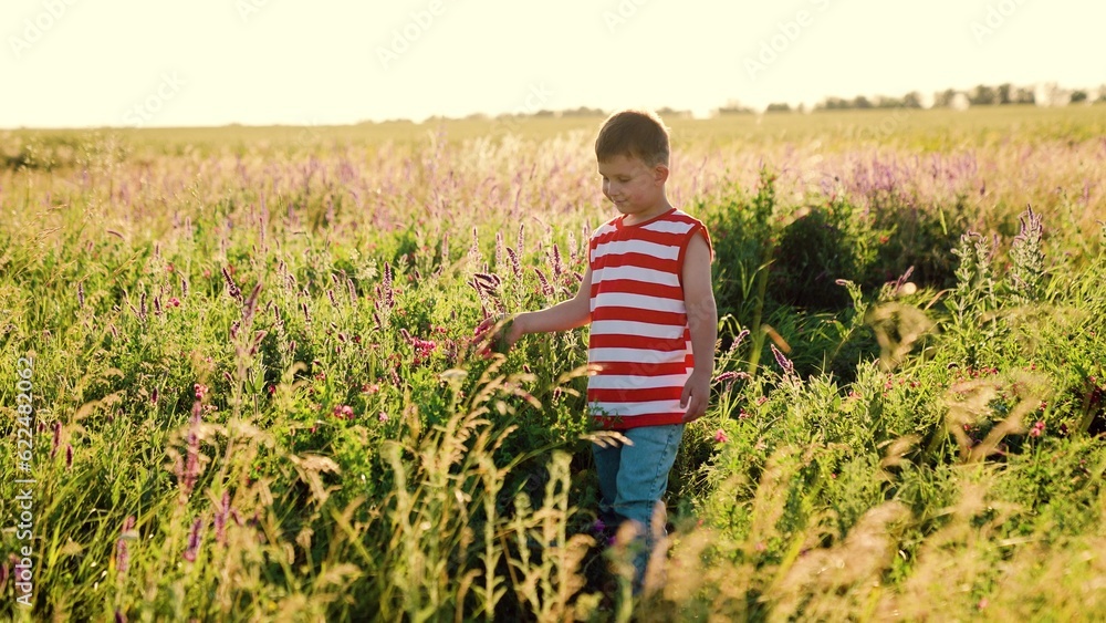 a happy family. holiday child in nature. walk child kid son outdoors. the boy's small hand touches the palm of the wild flowers, walk in the summer green meadow, child vacation spend outdoor wildlife