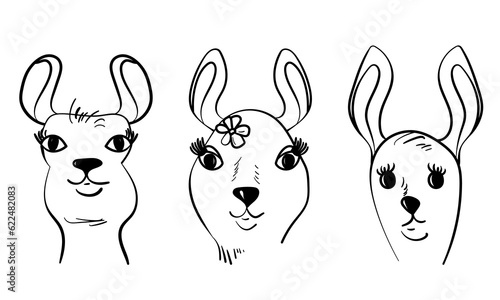Set of outline portraits of a llama, a cute animal with long ears