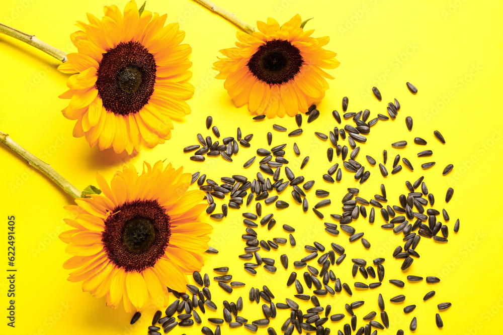 Obraz premium Sunflowers with seeds on yellow background