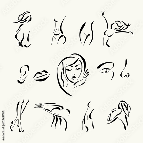silhouette of woman for plastic surgery, beauty or fashion industry