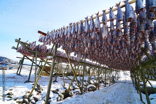 Fish dring rack during winter season at Lofoten, Norway, Europe. 