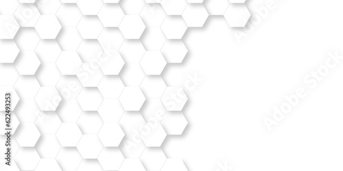  Background with white and black lines 3d Hexagonal structure futuristic white background and Embossed Hexagon , honeycomb white Background ,light and shadow ,Vector.
