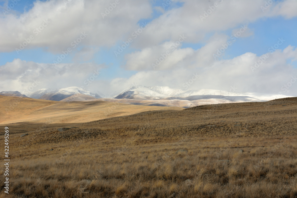 Fototapeta premium Gentle slopes of a hilly steppe with yellowed grass at the foot of snow-capped mountain peaks on a sunny autumn day.
