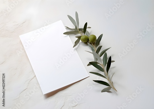 Blank white paper with green olive branch