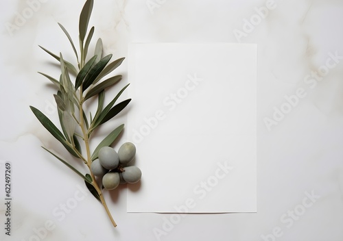 Blank white paper with green olive branch
