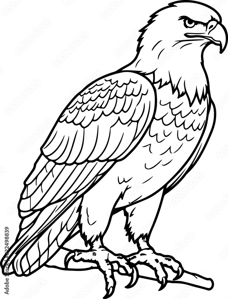 Fototapeta premium Handdrawn eagle drawing outline