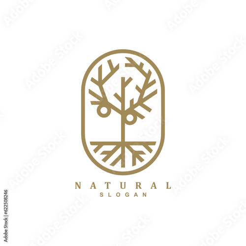 Vintage retro golden linear olive tree root logo design badge
