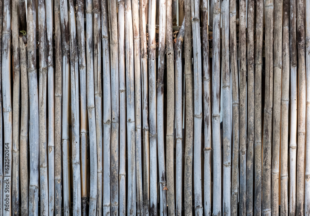 Old bamboo plank fence texture material construction for background. Old bamboo plank fence texture material construction for background.