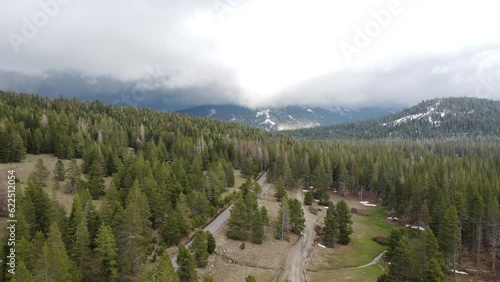 Aerial Drone Shot of Alpine Forest with Single Lane Road photo