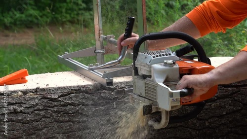Wallpaper Mural slow motion side shot of a logger wearing orange prepping a live-edge board from a pine log using an Alaskan chainsaw mill Torontodigital.ca
