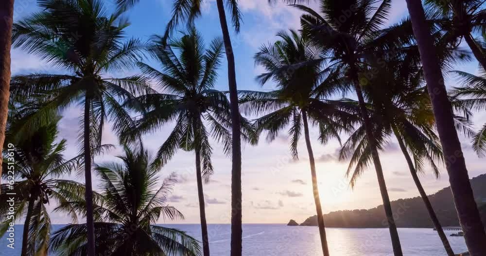 Timelapse Silhouette coconut palm trees in beautiful sunset or sunrise sky over sea,Amazing light nature colorful clouds landscape,Beautiful light nature sky and clouds seascape,Sky clouds background Timelapse Silhouette coconut palm trees in beautiful sunset or sunrise sky over sea,Amazing light nature colorful clouds landscape,Beautiful light nature sky and clouds seascape,Sky clouds background