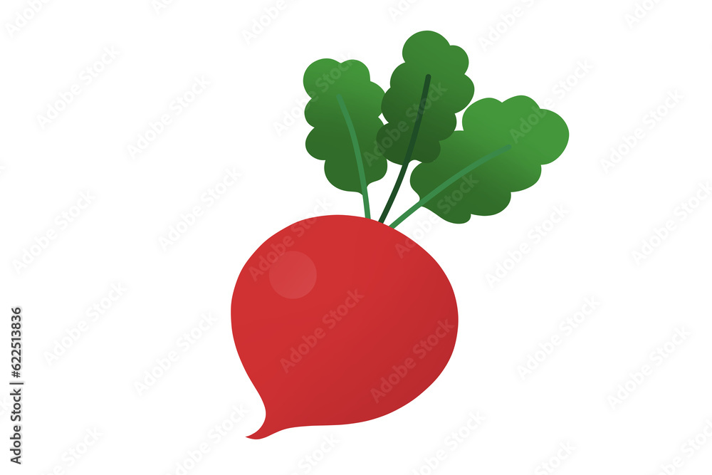 Colorful and appetizing vegetable illustration Colorful and appetizing vegetable illustration