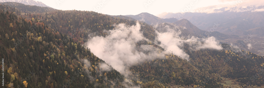 Beautiful landscape with foggy mountains and forest.