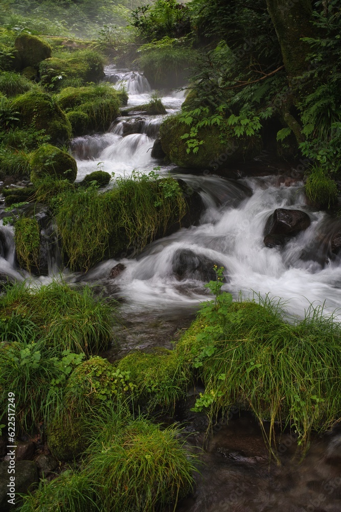 Tottori,Japan - July 11, 2023: Kitanizawa stream at the foot of Daisen mountain in Tottori, Japan
