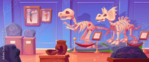 Fossil dinosaur skeleton in history museum cartoon illustration. Jurassic dino bone and rex footprint exhibit on pedestal in gallery with signboard. Triceratops and tyrannosaurus prehistoric discovery