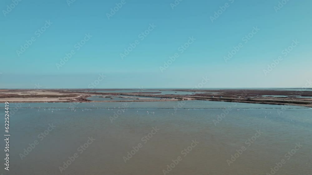 Aerial View of Pink Flamingos in the Sunny Wetlands of Camargue Aerial View of Pink Flamingos in the Sunny Wetlands of Camargue