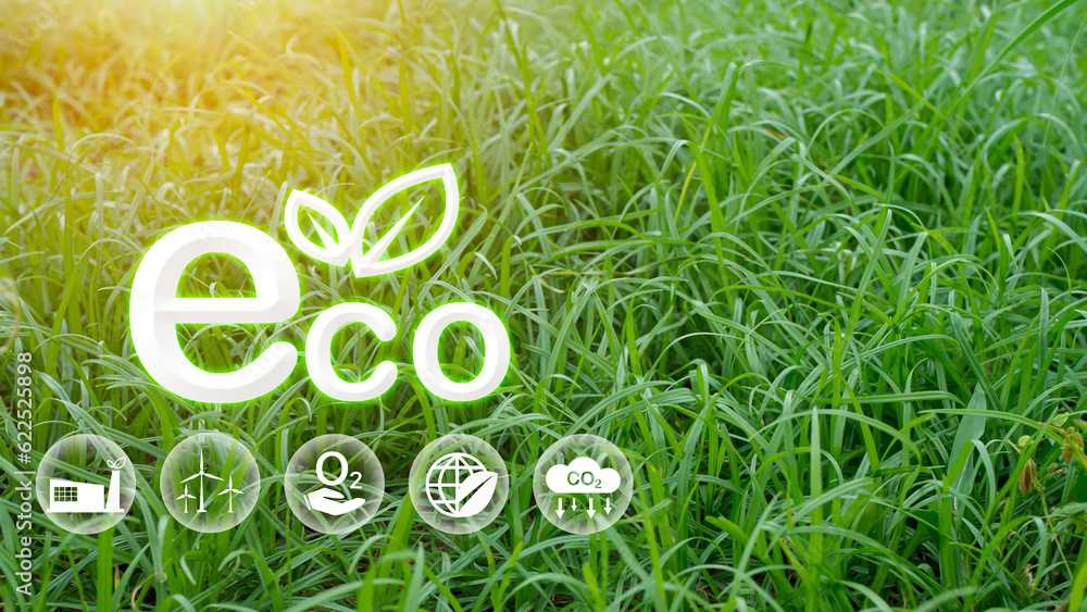 Eco concept for environment, society and governance in sustainable. business responsible environmental.
