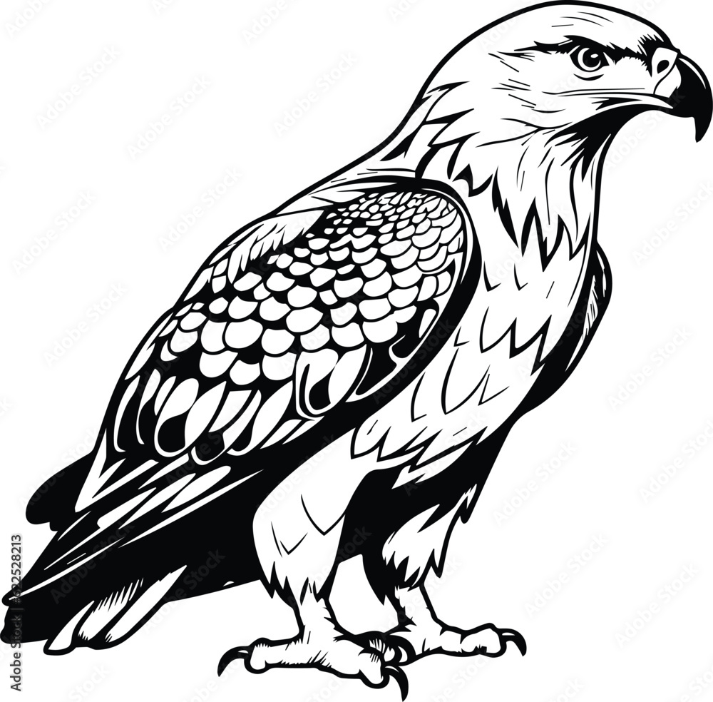 Hawk Logo Monochrome Design Style