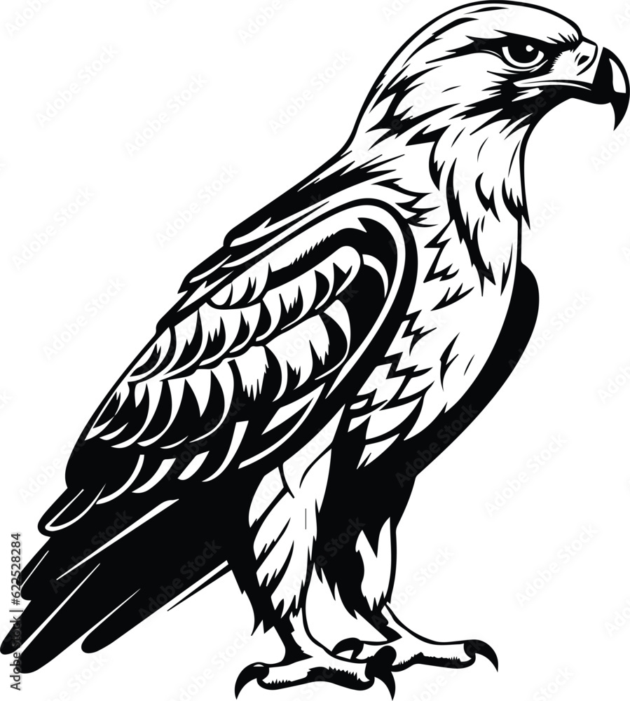 Hawk Logo Monochrome Design Style
