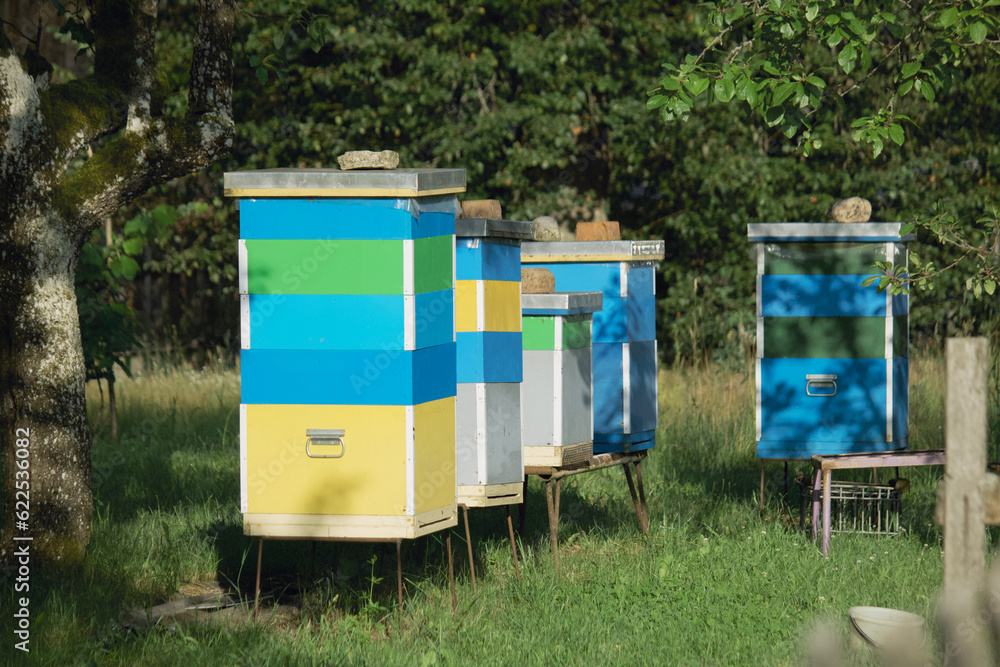 Multi-colored bee hives. Stand in rows in a village garden. Multi-colored bee hives. Stand in rows in a village garden.