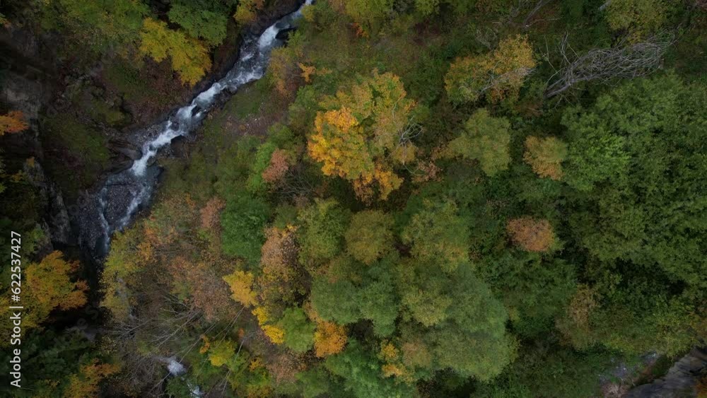 Fantastic aerial view from above over fantastic forest with autumn colors and a small river, in Switzerland. Fantastic aerial view from above over fantastic forest with autumn colors and a small river, in Switzerland.