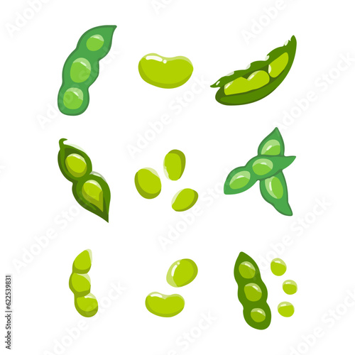 Edamame green beans. Soybean pod. Fresh vegetable. Asian cooking ingredient. Healthy natural vegetarian food. Hand drawn flat vector illustration.