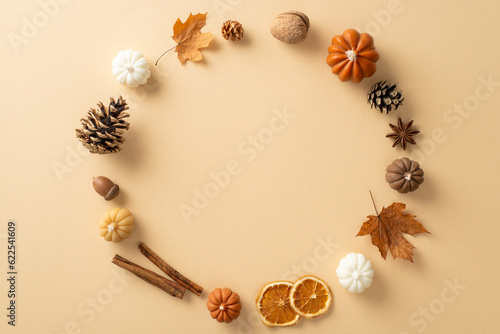 Autumnal attributes concept. Above view photo of cinnamon sticks, chinese anise, dried oranges, pinecones, cotton, acorns, leaves and candles forming empty circle for text on beige isolated background