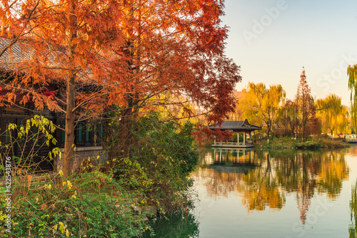 The spring city of Jinan in golden autumn, the colorful autumn colors of Daming Lake Scenic Area #622543876